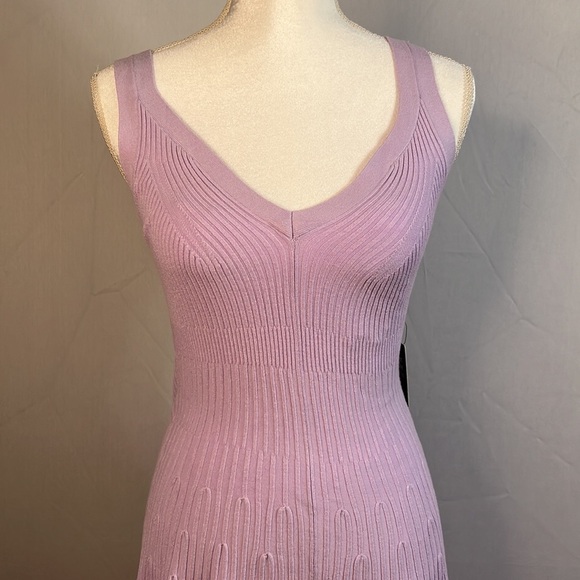 NWT Express Lavender Fit & Flared Ribbed Sweater Dress Size Small - Picture 4 of 9